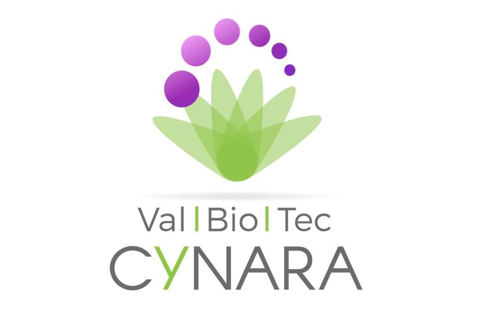 ValBioTecCynara – Valorização Económica do Cardo (Cynara cardunculus) variabilidade natural e suas aplicações biotecnológicas