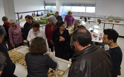 Jornada de PAM e Assembleia geral em Braga