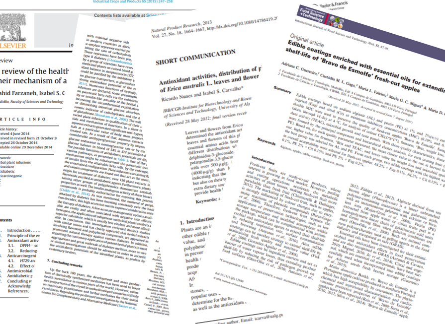 Estudos e artigos científicos . Scientific studies and articles