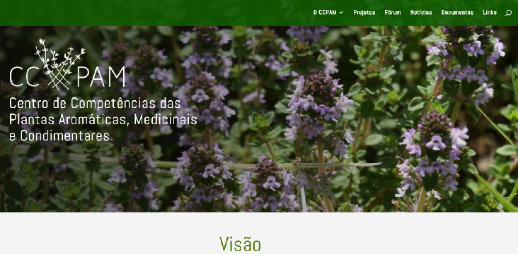Sítio do CCPAM já se encontra online