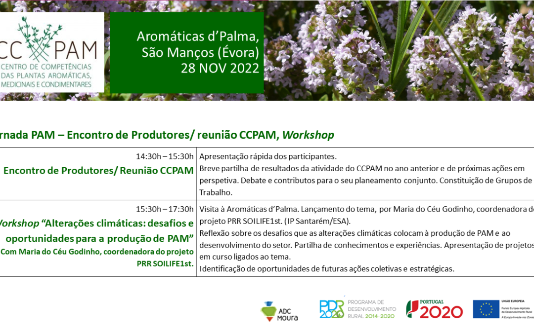 CCPAM organiza Jornada PAM no final de Novembro