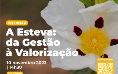 Webinar “A esteva: da gestão à valorização”