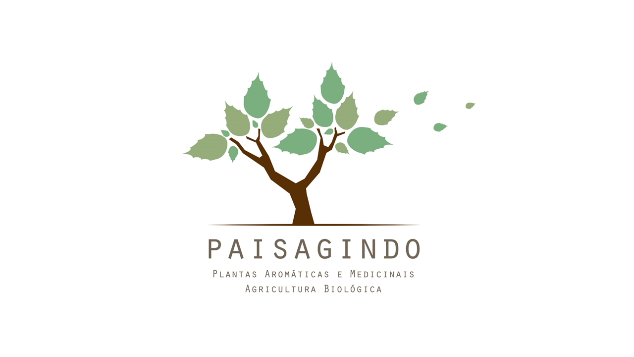 paisagindo