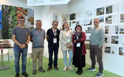 CCPAM com stand na Spices&herbs Global Expo / Macfrut 2026